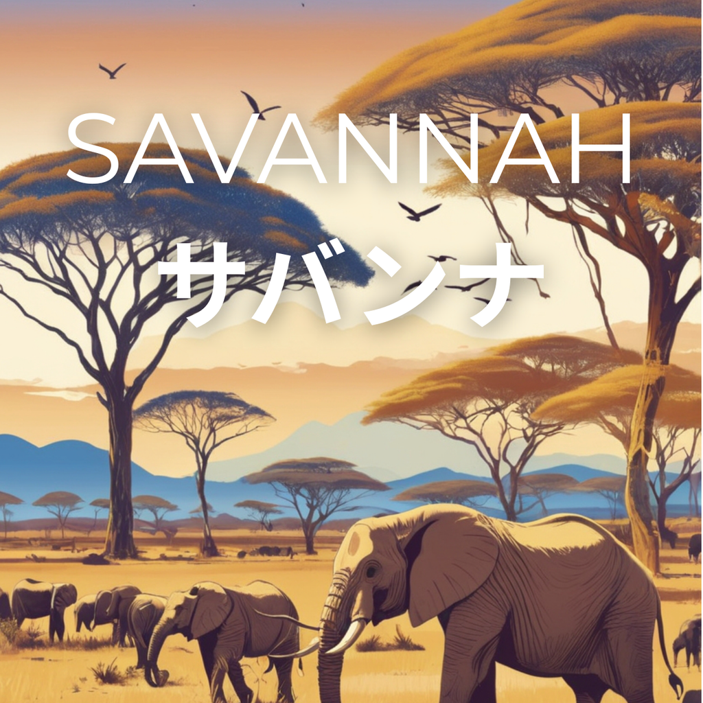Savannah